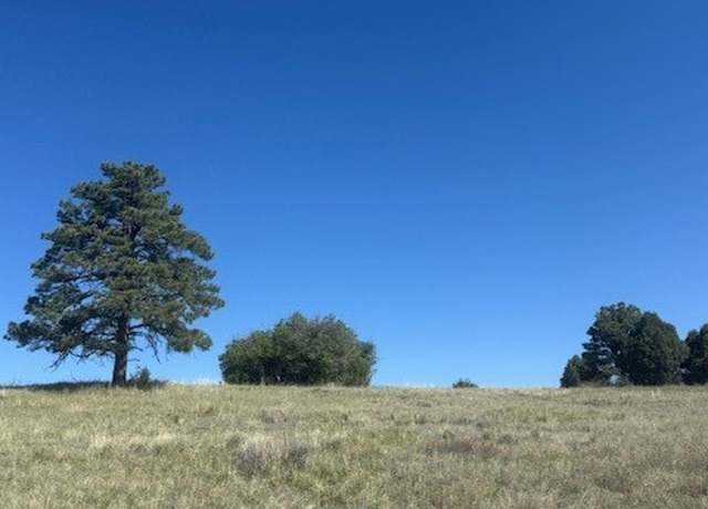 Property at Lot 9 1796 (deer Trail), Chama, NM 87520