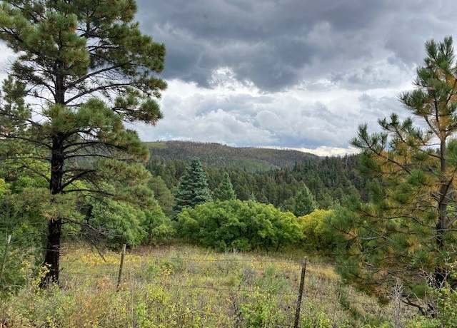Property at Tract 1 La Sierra Rd, Holman, NM 87723