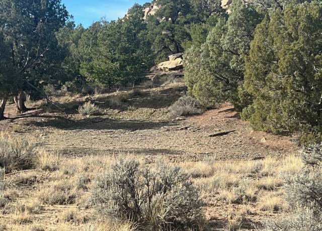 Property at 0 Navajo City Acres, Navajo Dam, NM 87412
