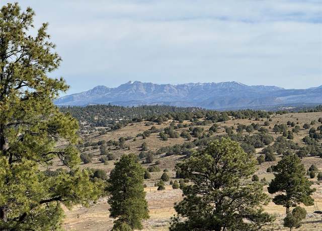Property at 0 Garth Tract, Los Ojos, NM 87551