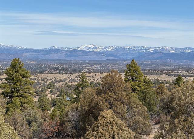 Property at 531 State Road 95, Rutheron, NM 87551, 3 beds, 2 baths