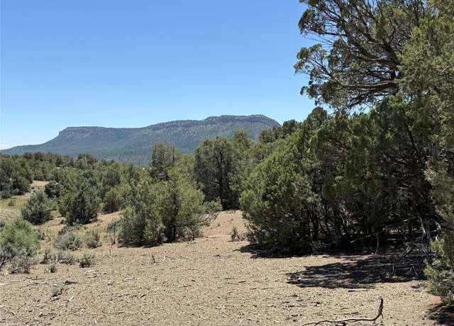 Property at 0 Christy Ln, Los Ojos, NM 87551