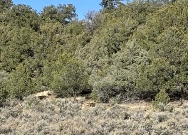 Property at TBD Talavera Unit 4 Lot 40, Tierra Amarilla, NM 87575