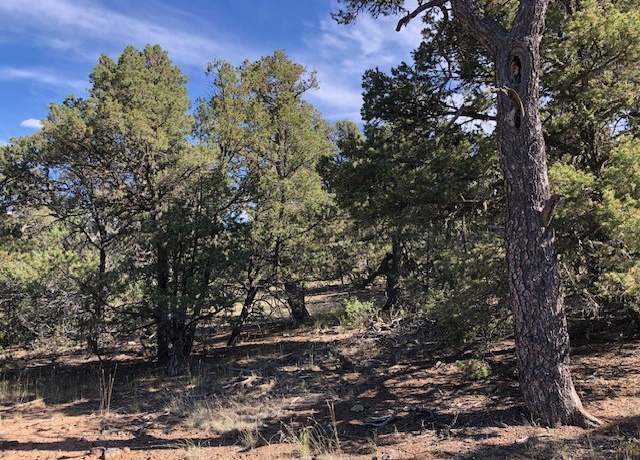 Property at 0.24 Acre Portion Of Lot 70, Tres Piedras, NM 87577