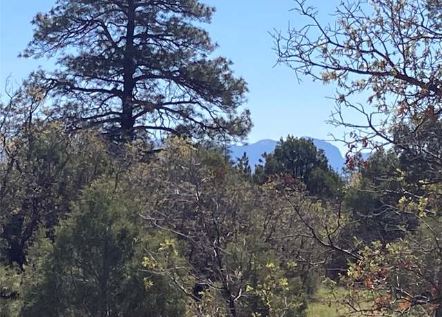 Property at TBD Rim Dr. Lots 68 & 69, Rutheron, NM 87551