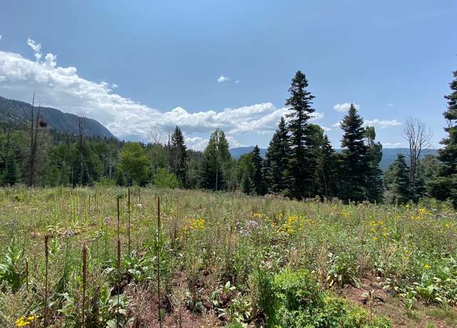 Property at 0 Aspen Bluff #5, Chama, NM 87520