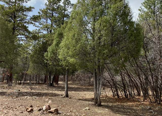 Property at Private Drive 1754 Blk 2 Lot 24, Chama, NM 87520