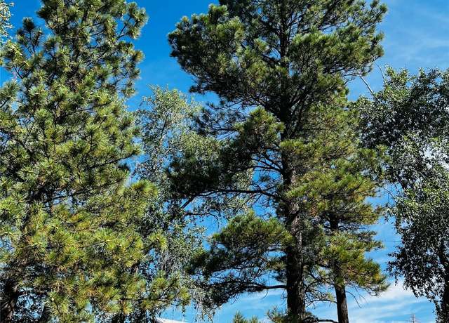 Property at 2755 South Hwy 84/64, Chama, NM 87520, 2 beds, 2 baths