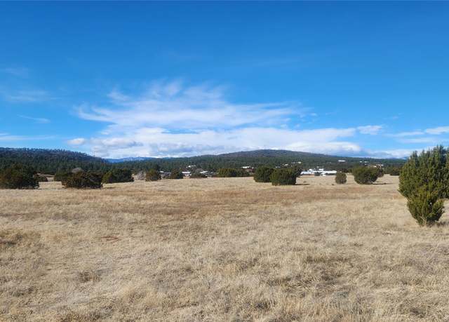 Property at 0 Parcel C Tract D, NM 87701