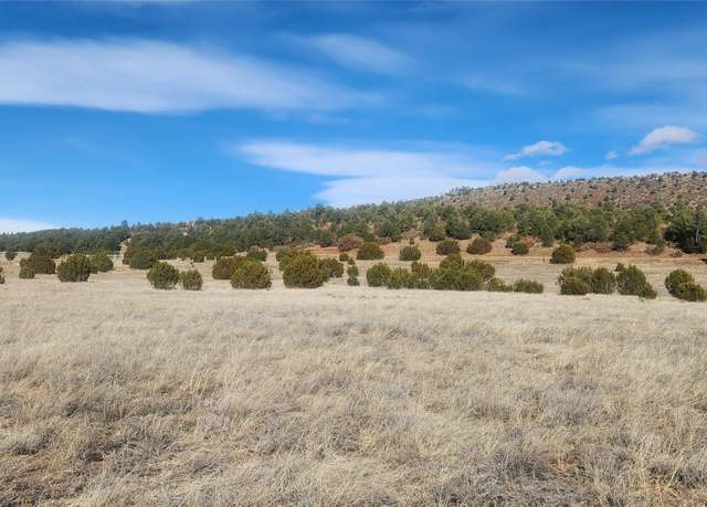 Property at 0 Parcel D Tract D, NM 87701