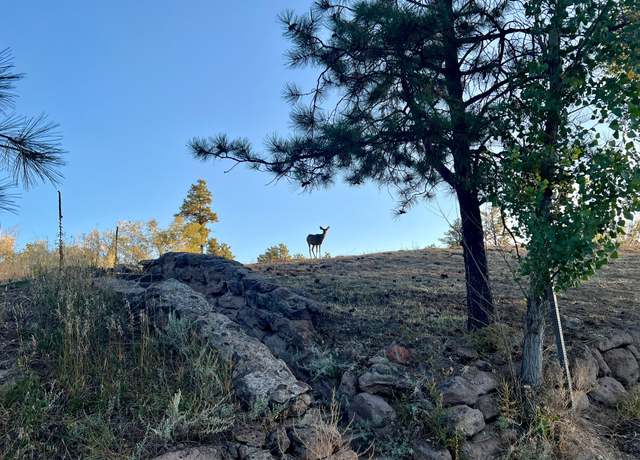 Property at 4226 Alabama Ave, Los Alamos, NM 87544