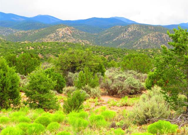 Property at TBD Nm 503, NM 87522