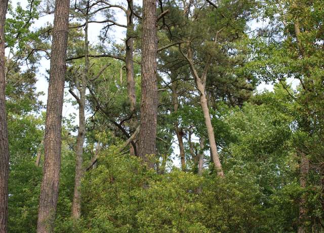 Property at Oak Ridge Pl, Chincoteague, VA 23336