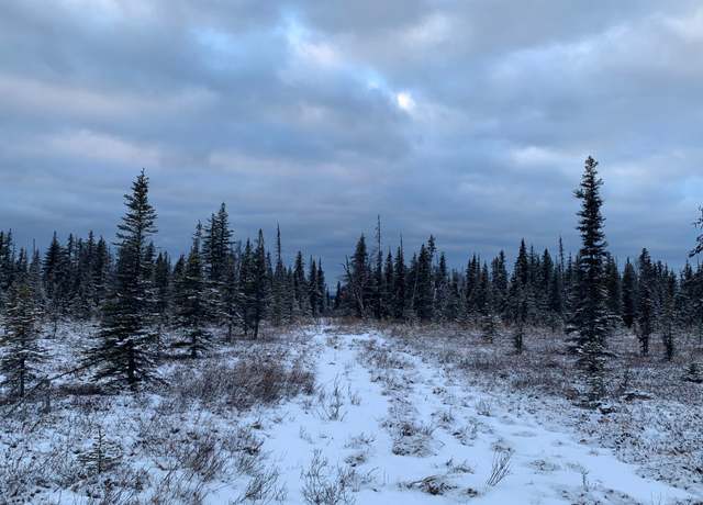 Property at Gunnison AVE, Anchor Point, AK