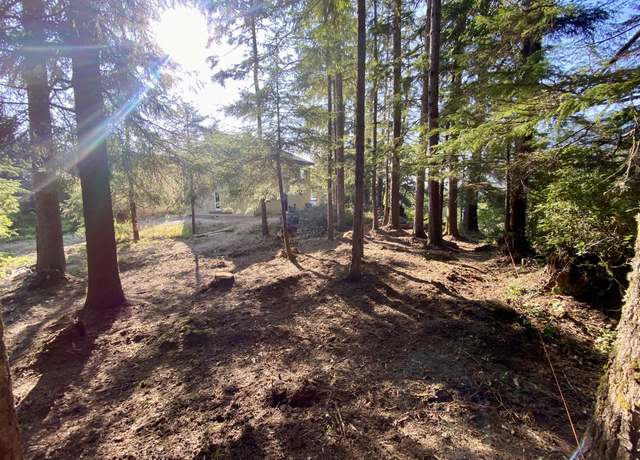 Property at 38550 18th St, Manzanita, OR 97130