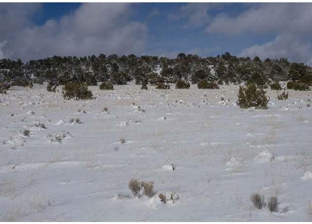 Property at 400 Highway 40, Rowe, NM 87562, 1 bed, 1 bath