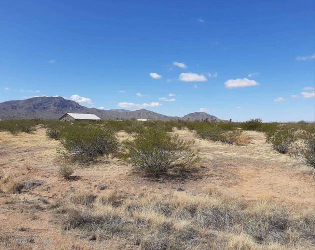 51648 W Pete Rd, Aguila, AZ 85320 | MLS# 11464090 | Redfin