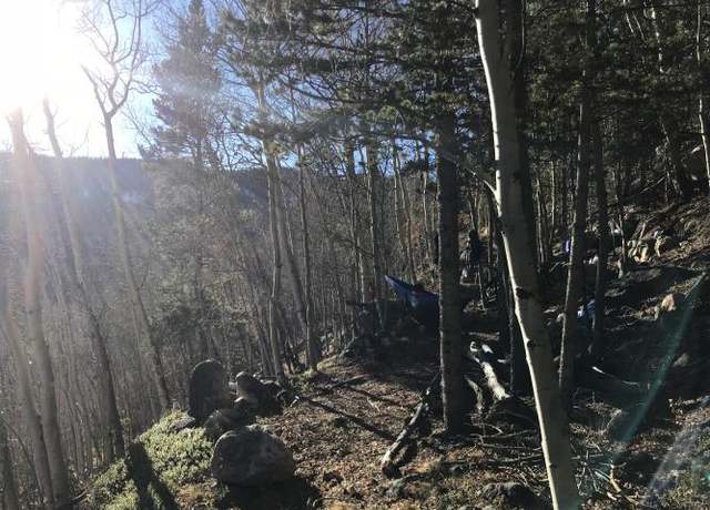 Property at 67 Loch Lomond Rd Lot 67, Idaho Springs, CO 80452