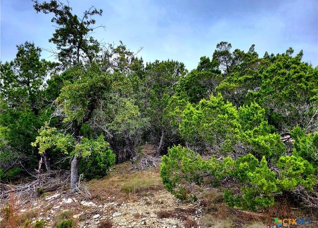 Property at 171,193 Appaloosa Dr, Fischer, TX 78623