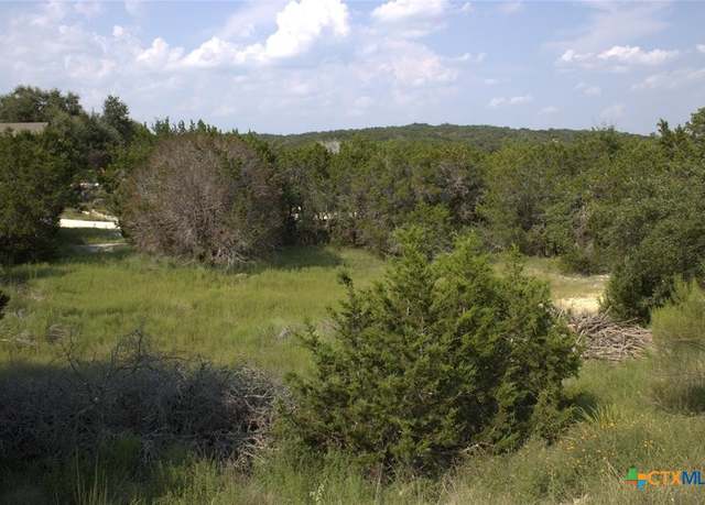 Property at TBD William Travis, Fischer, TX 78623