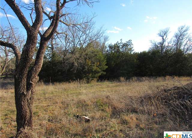 Property at Lot 2, Block 6 Cr 421, Evant, TX 76525