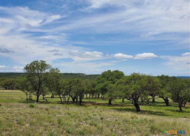 Property at 974 Blackbuck Ridge Dr, Lampasas, TX 76550