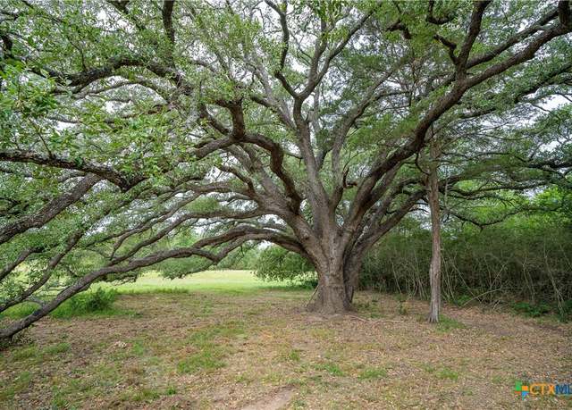 Property at TBD Fm 713 Hwy, Rosanky, TX 78953