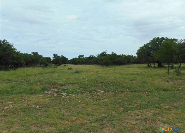 Property at 1661 Cottonwood Mesa Dr, Kempner, TX 76539