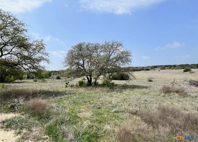 Property at Lot 1 Cr 4717, Kempner, TX 76539