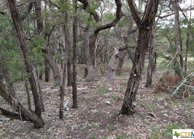 Property at 0 Marlys Ave, Canyon Lake, TX 78133