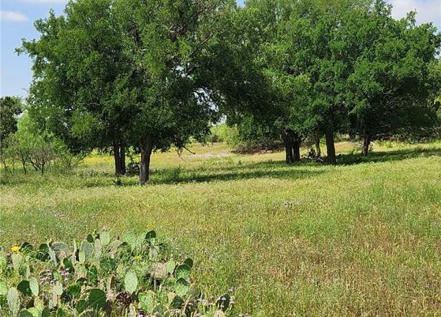 Property at TBD Fm 2313, Kempner, TX 76539