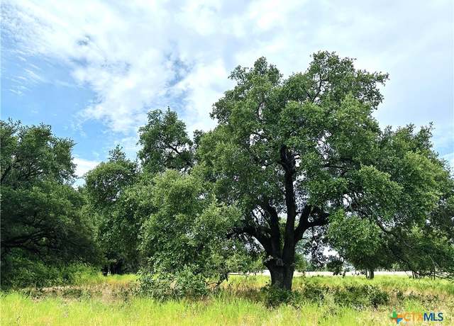 Property at Deer Haven Tract 2 County Road 265, Gatesville, TX 76528