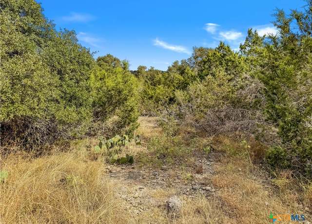 Property at 1447 Carson Crk, Canyon Lake, TX 78133