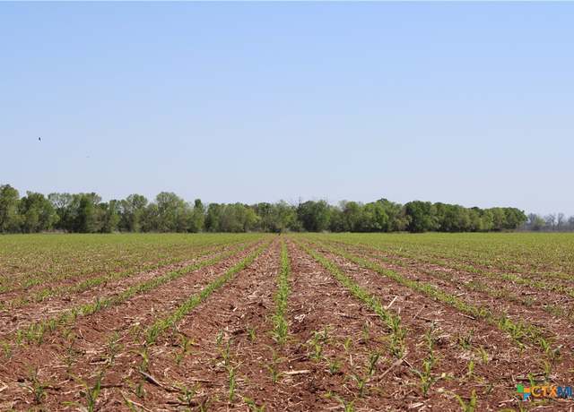 Property at TBD County Road 301, Marlin, TX 76661