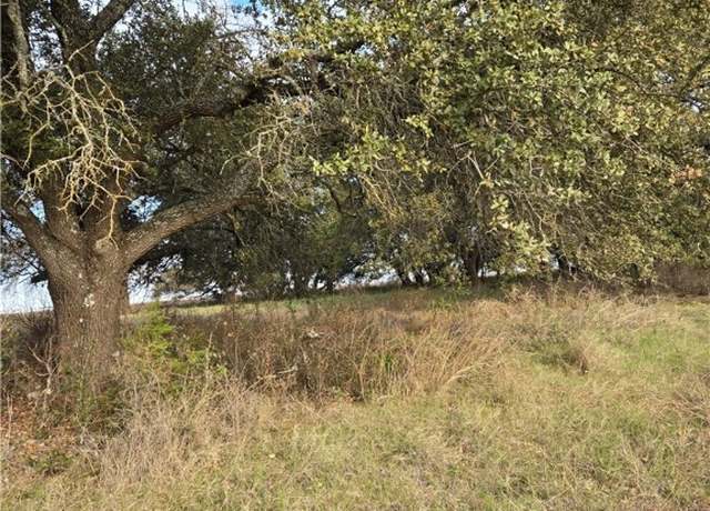 Property at 454 Grand Canyon Dr, Oglesby, TX 76561