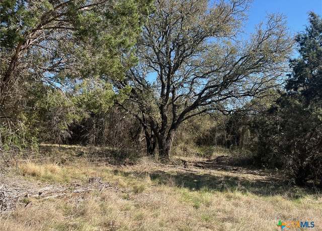 Property at 0 TBD Us-183, Lometa, TX 76853