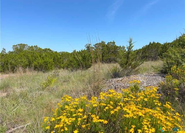 Property at 0 TBD San Salvadore, Canyon Lake, TX 78133