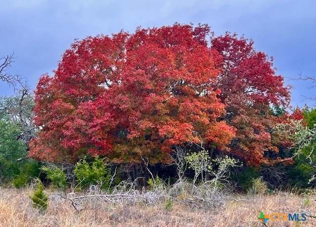 Property at 3018 County Road 3790, Lampasas, TX 76550