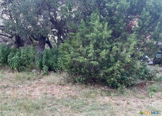 Property at 1640 Comfort, Canyon Lake, TX 78133
