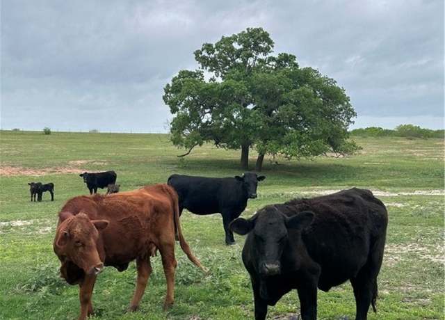 Property at TBD Tract 2 W Gates Valley Rd, Poteet, TX 78065