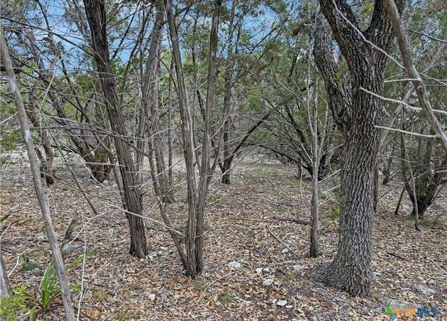 Property at 1081 Dog Leg Ln, Spring Branch, TX 78070