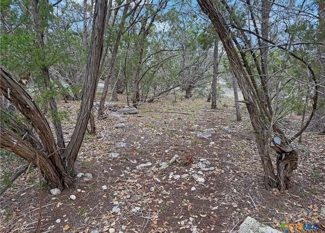 Property at 1084 Dog Leg Ln, Spring Branch, TX 78070