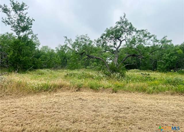 Property at Lot 10 Wisteria Ln, Smiley, TX 78159