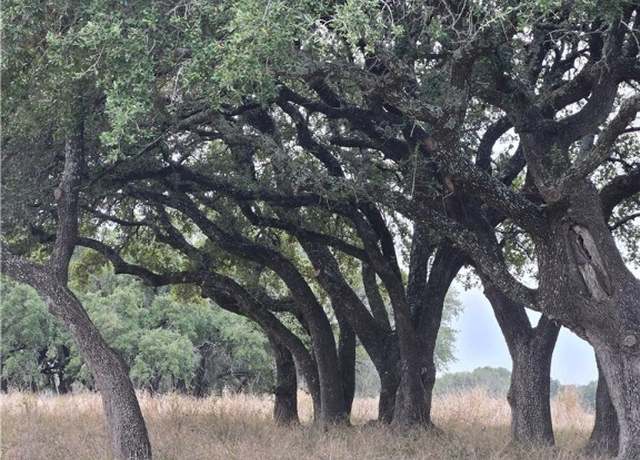 Property at 453 Grand Canyon Dr, Oglesby, TX 76561