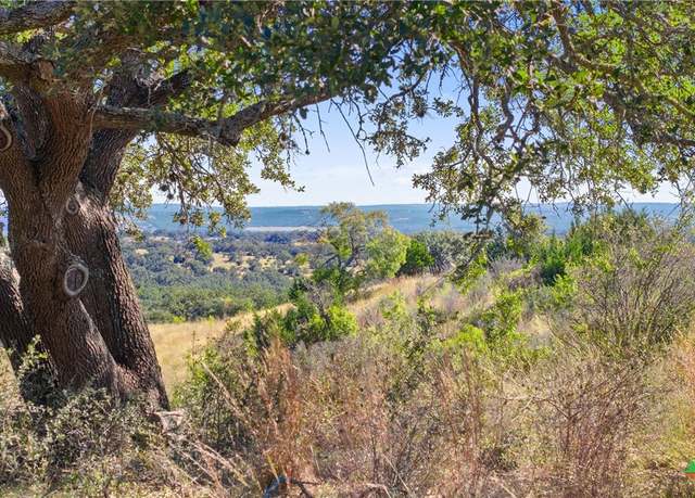 Property at 1484 Summit Ridge Trl, Johnson City, TX 78636