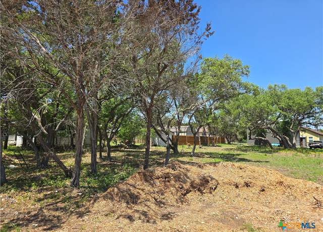 Property at 449 High Dr, Spring Branch, TX 78070