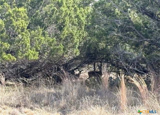 Property at 150 County Road 1030, Lampasas, TX 76550