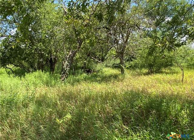 Property at TBD Cr 1144 And Cr 1196, Sinton, TX 78387