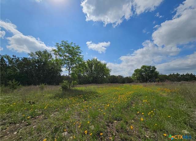 Property at TBD Fm 215, Gatesville, TX 76528