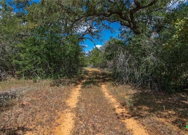 Property at TBD County Road 434, Stockdale, TX 78160
